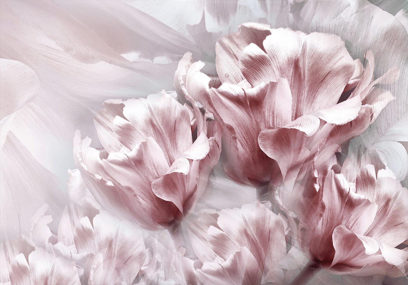 Tender Pink Tulips Poster - Posterbox.dk