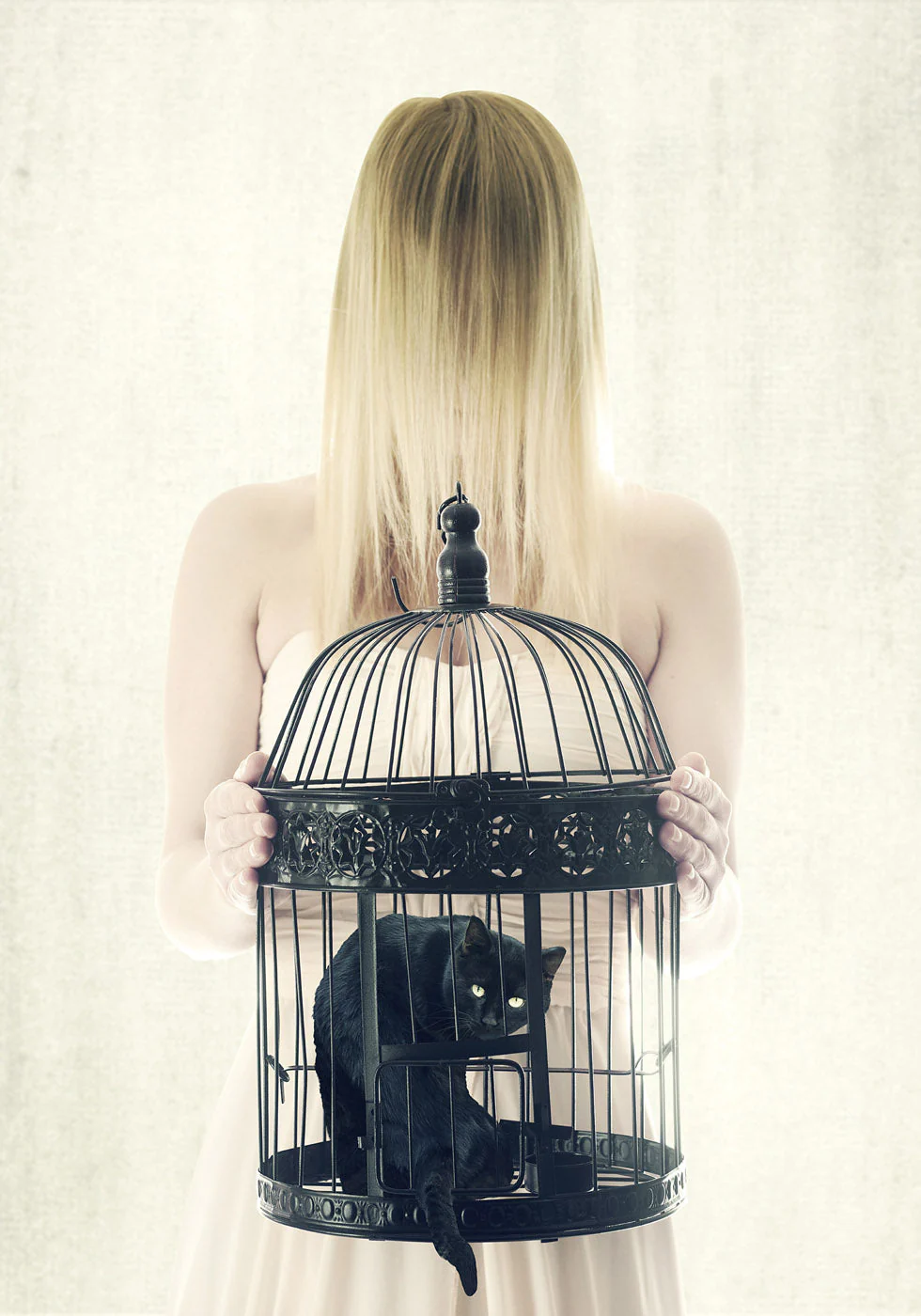 The Bad Black Cat Poster - Posterbox.dk