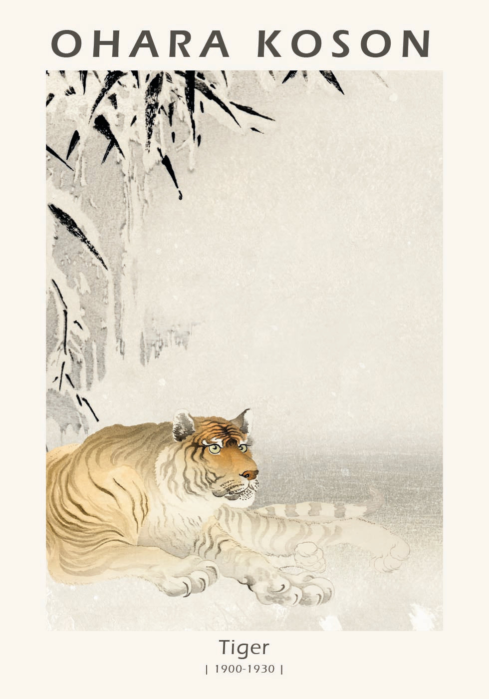 Tiger, Japanese Woodblock By Ohara Koson Poster - Posterbox.dk