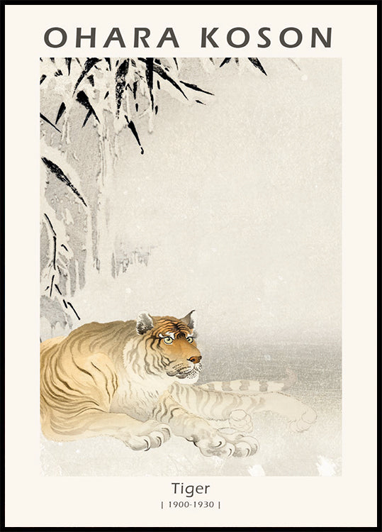 Tiger, Japanese Woodblock By Ohara Koson Poster - Posterbox.dk