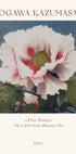 Tree Peony, Ogawa Kazumasa Foral Poster - Posterbox.dk