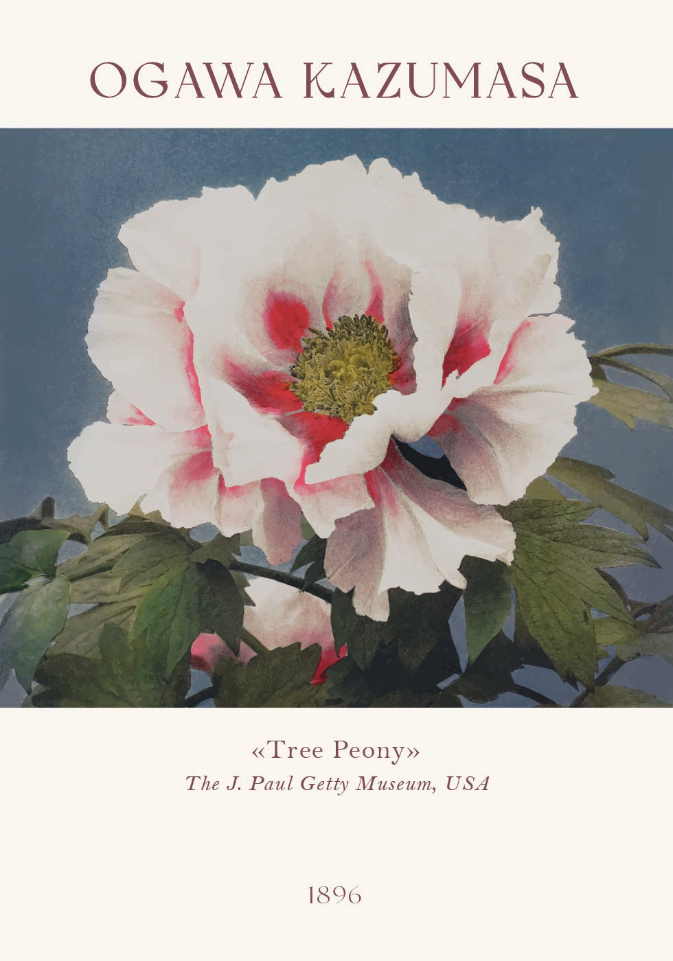 Tree Peony, Ogawa Kazumasa Foral Poster - Posterbox.dk