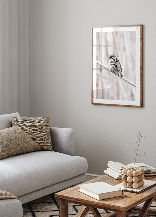 Tree Sparrow on Branch Poster - Posterbox.dk