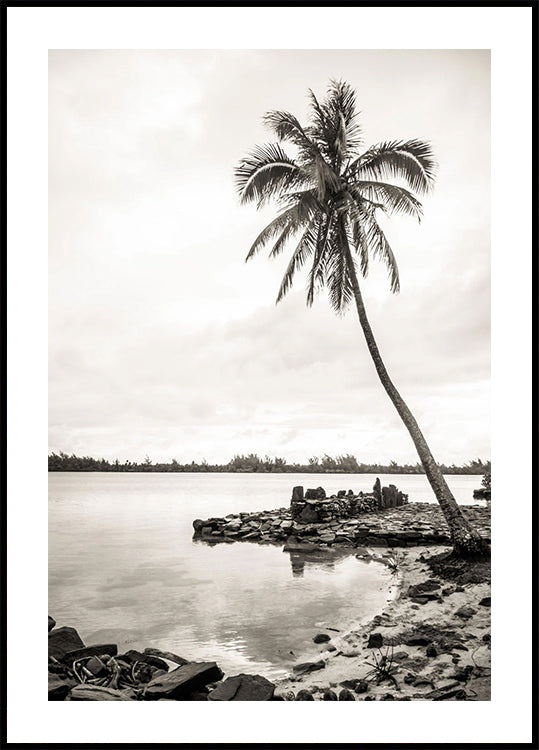 Tropical Palm on Beach Poster - Posterbox.dk