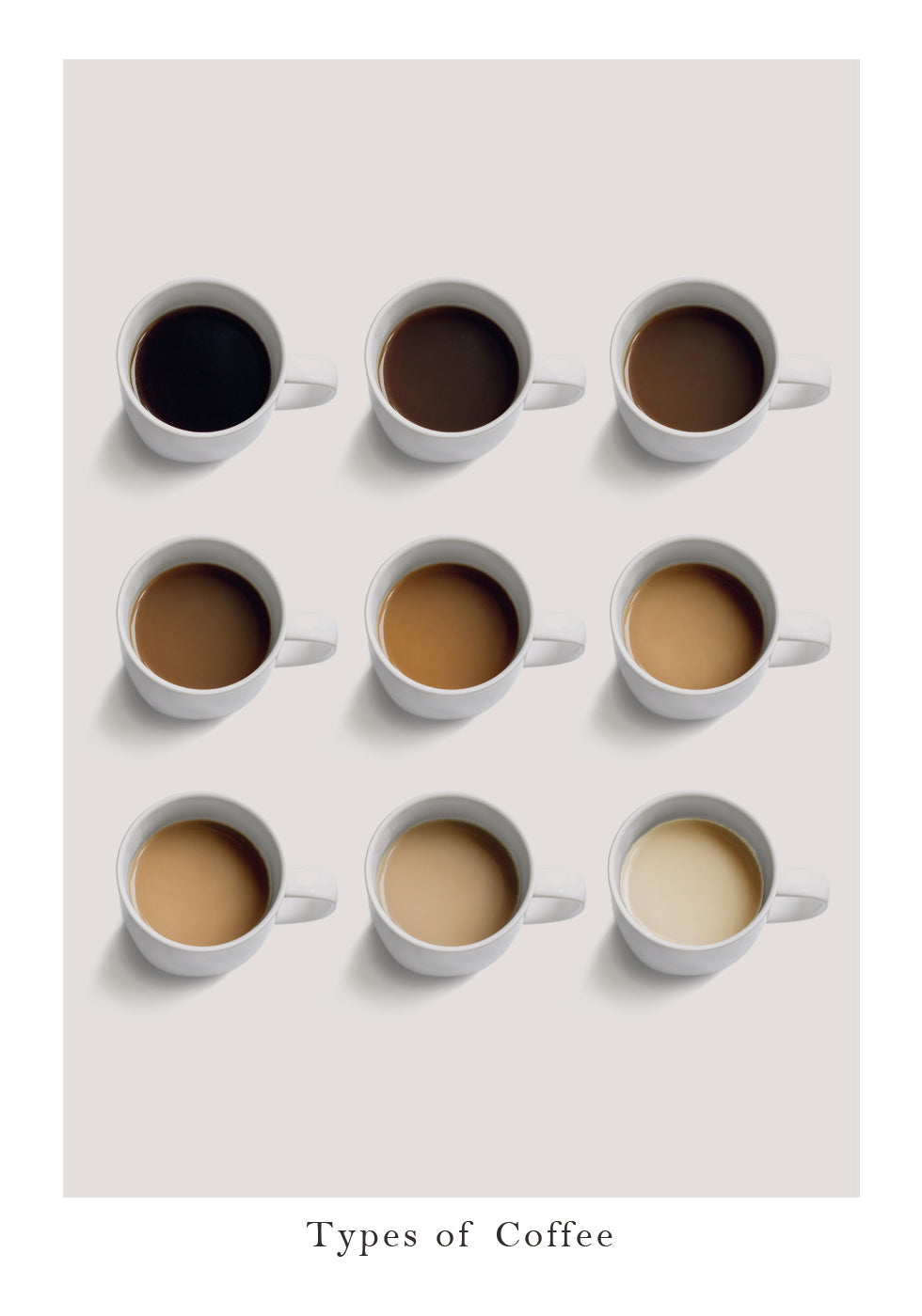 Types of Coffee Poster - Posterbox.dk