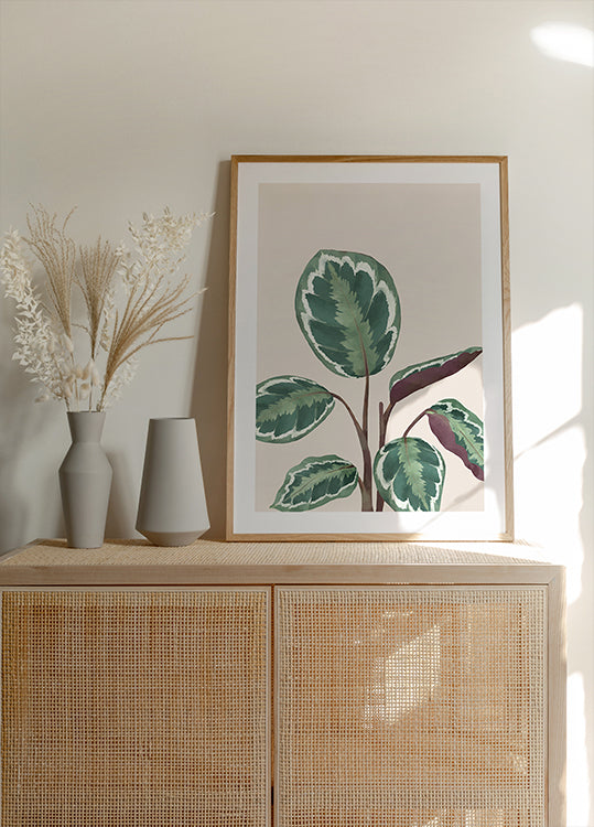 Variegated Green and Purple Plant Poster - Posterbox.dk