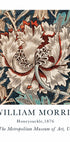 W.Morris Honeysuckle Poster - Posterbox.dk