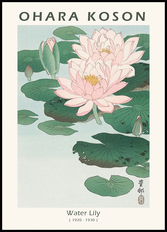 Water Lily, Japanese Woodblock By Ohara Koson Poster - Posterbox.dk