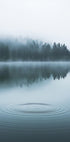 Water Ripples and Foggy Forest Poster - Posterbox.dk