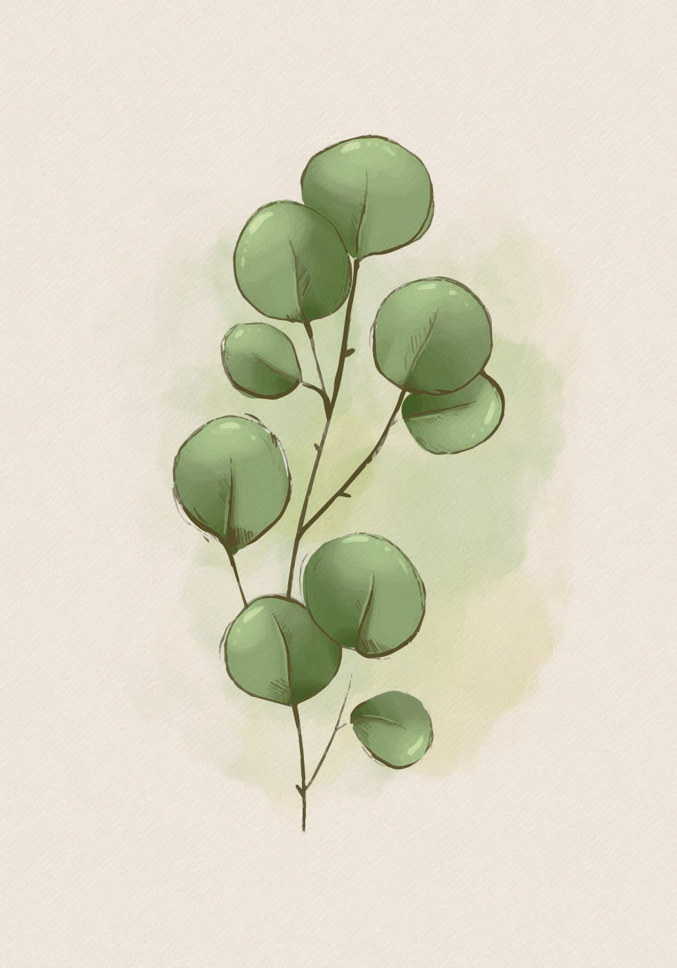 Watercolor Eucalyptus Botanical Poster - Posterbox.dk