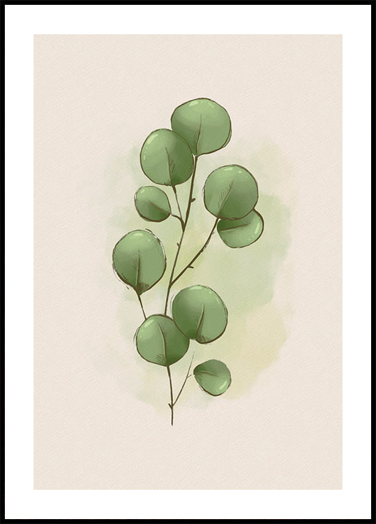 Watercolor Eucalyptus Botanical Poster - Posterbox.dk