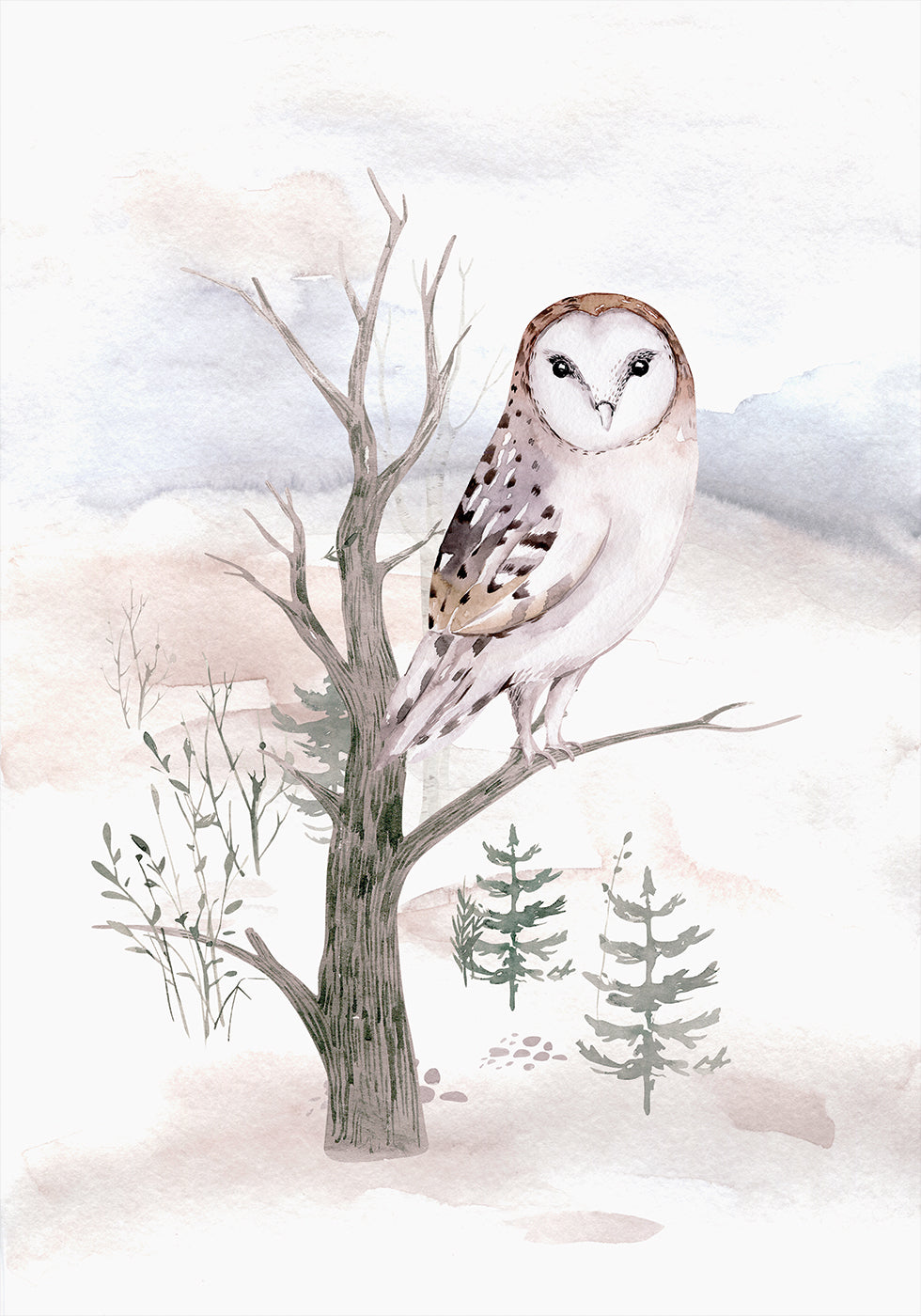 Watercolor Owl in the Forest Poster - Posterbox.dk