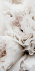 White Blossoming Roses Poster - Posterbox.dk