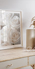White Blossoming Roses Poster - Posterbox.dk