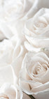 White Blossoming Roses Poster - Posterbox.dk