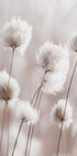 White Cotton Grass Poster - Posterbox.dk