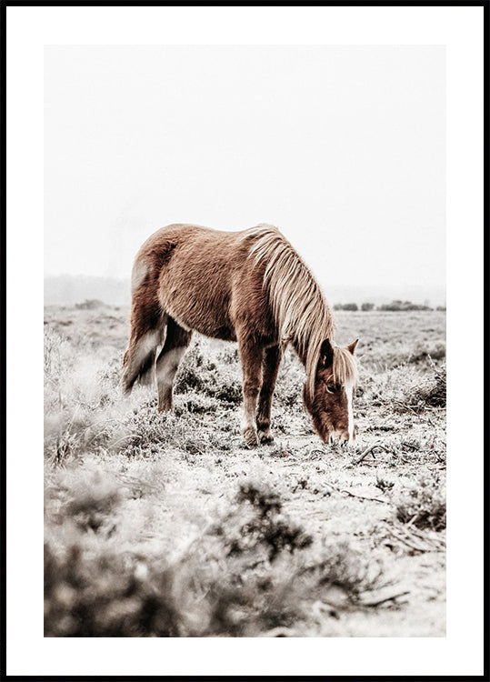 Wild Horse in Serene Landscape Nature Poster - Posterbox.dk