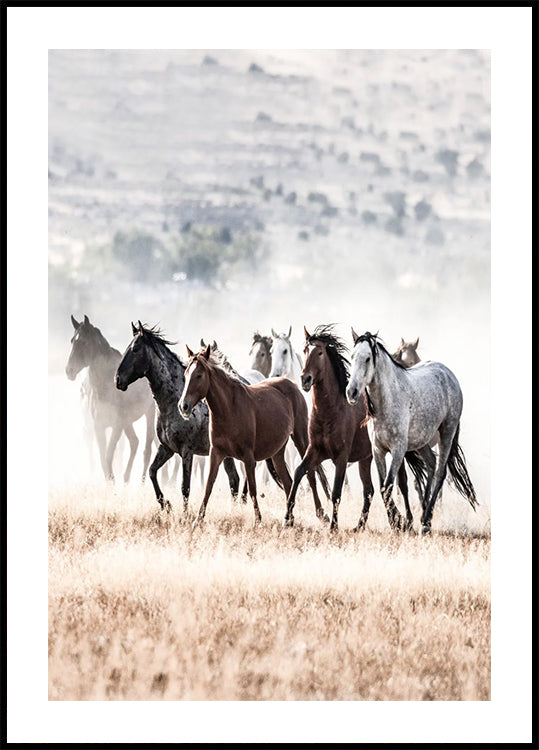 Wild Horses Running Free Nature Poster - Posterbox.dk