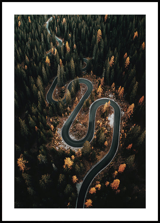 Winding Road in the Forest Poster - Posterbox.dk