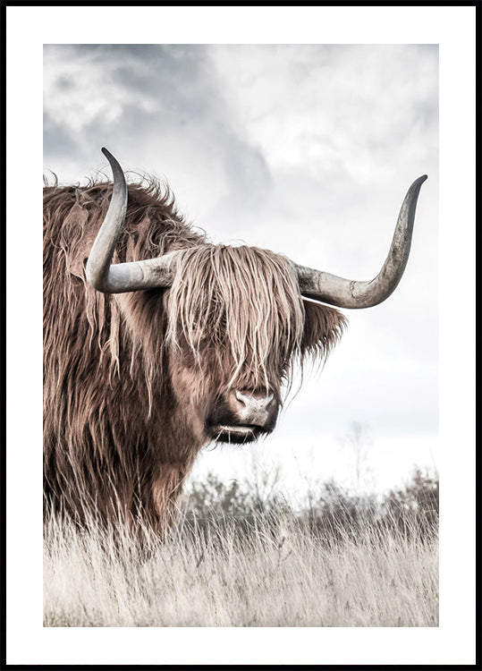 Winter Highland Cow Poster - Posterbox.dk