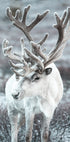 Winter Reindeer in Frosty Landscape Poster - Posterbox.dk