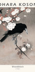 Woodblock, Crow on Cherry Blossom Branch By Ohara Koson Poster - Posterbox.dk