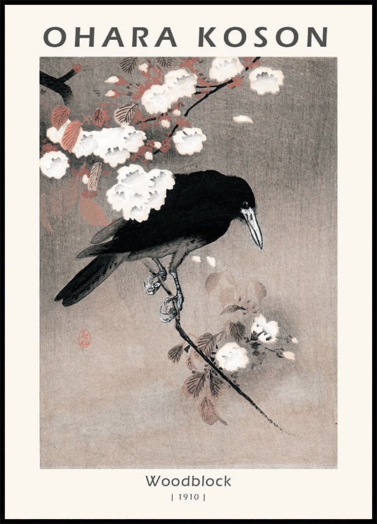 Woodblock, Crow on Cherry Blossom Branch By Ohara Koson Poster - Posterbox.dk