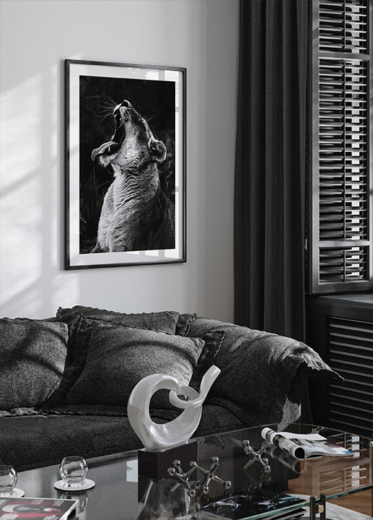 Yawning Lion Poster - Posterbox.dk