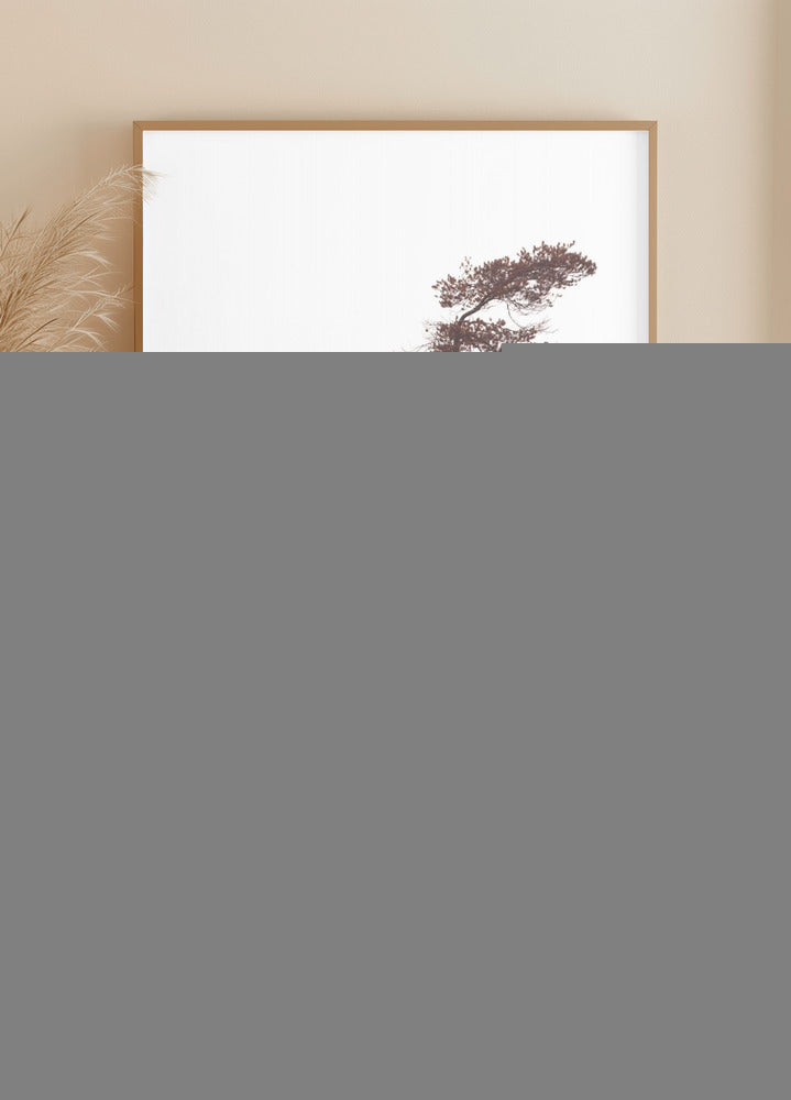 Sculptural Pines Poster