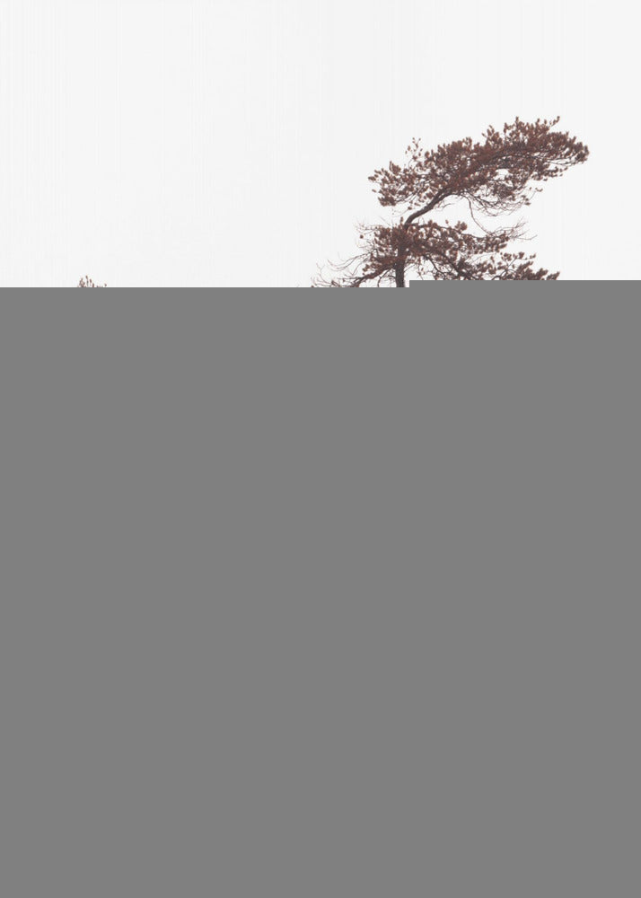 Sculptural Pines Poster