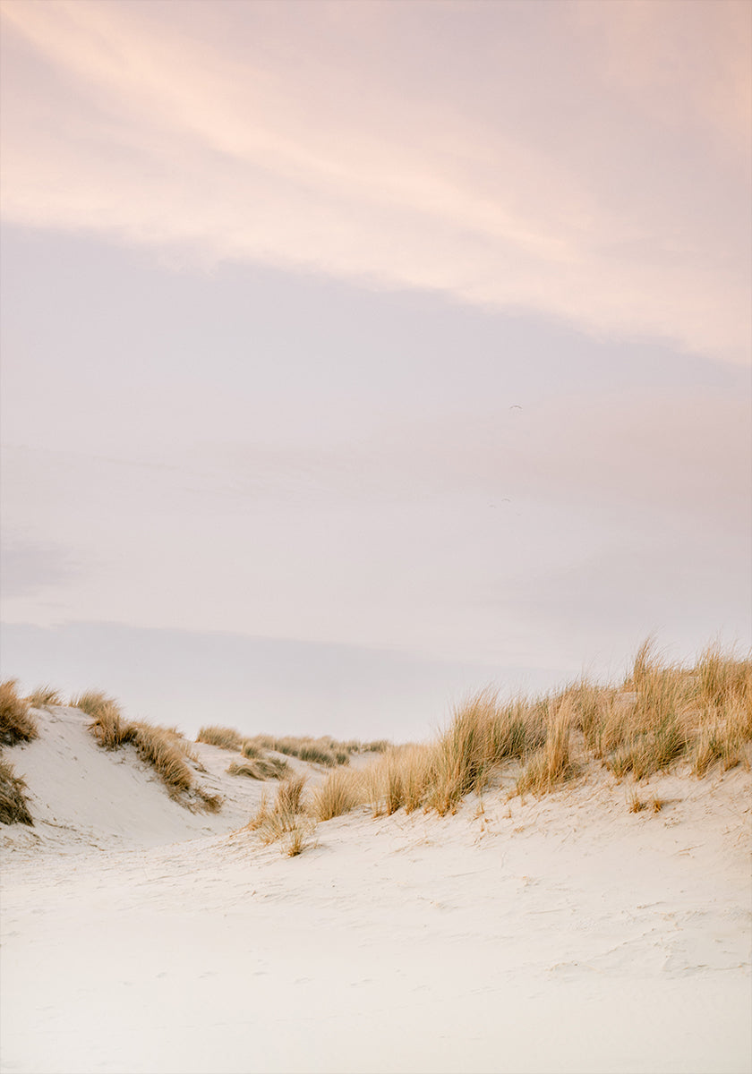 Ameland Dunes 3 Plakat - Posterbox