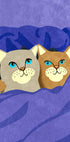 Cats in Bed - Posterbox