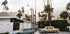 Retro Cars in Palm Springs Poster - Posterbox.dk