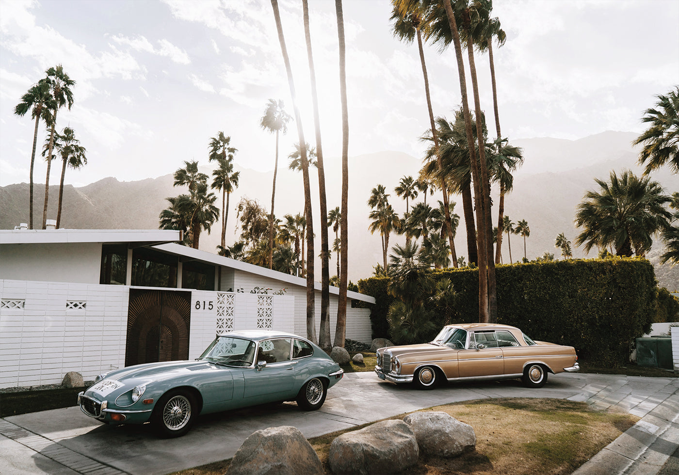 Retro Cars in Palm Springs Poster - Posterbox.dk