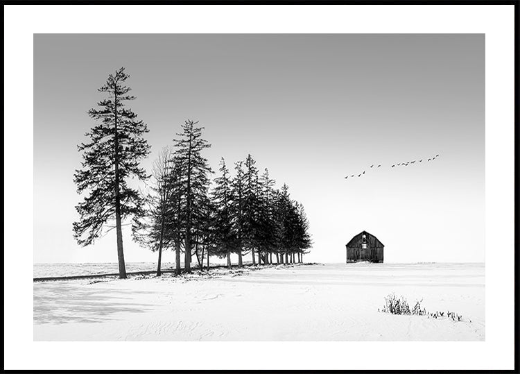 A Sunny Winter Day Plakat - Posterbox