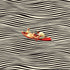 The Real Boat Trip Plakat - Posterbox