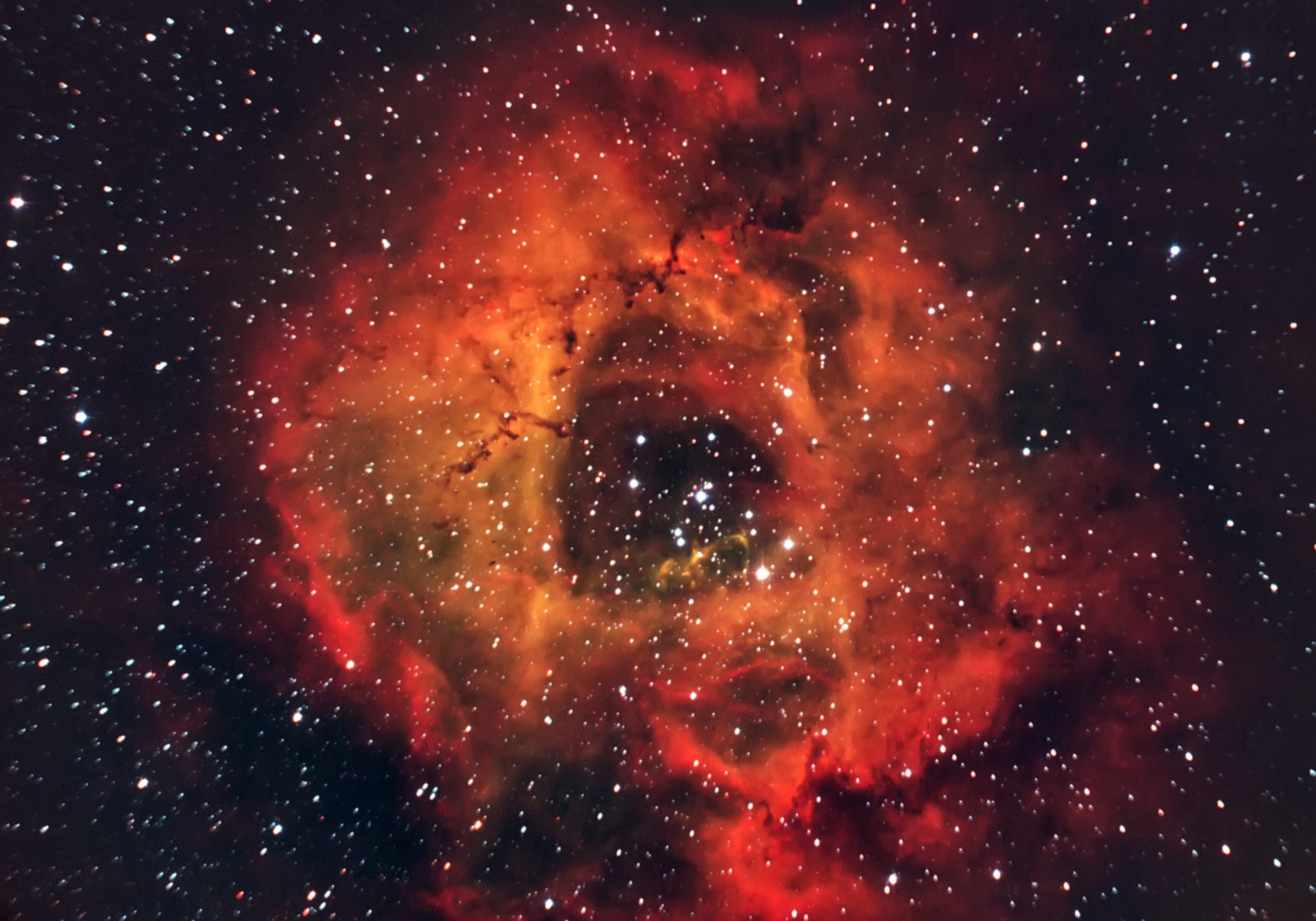Cosmic Rose Nebula