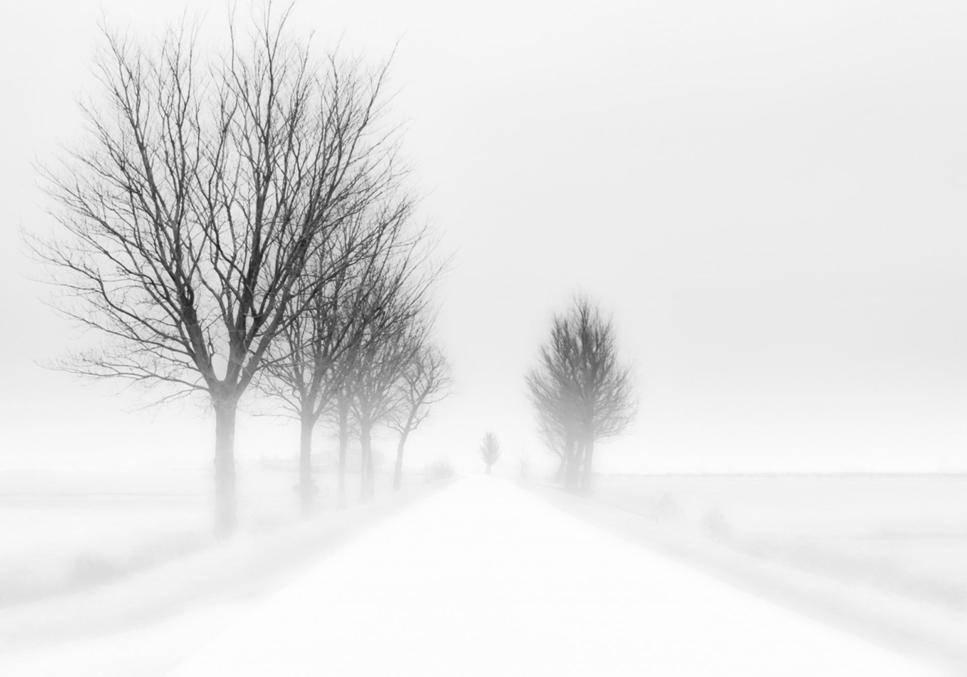 Misty Winter Road