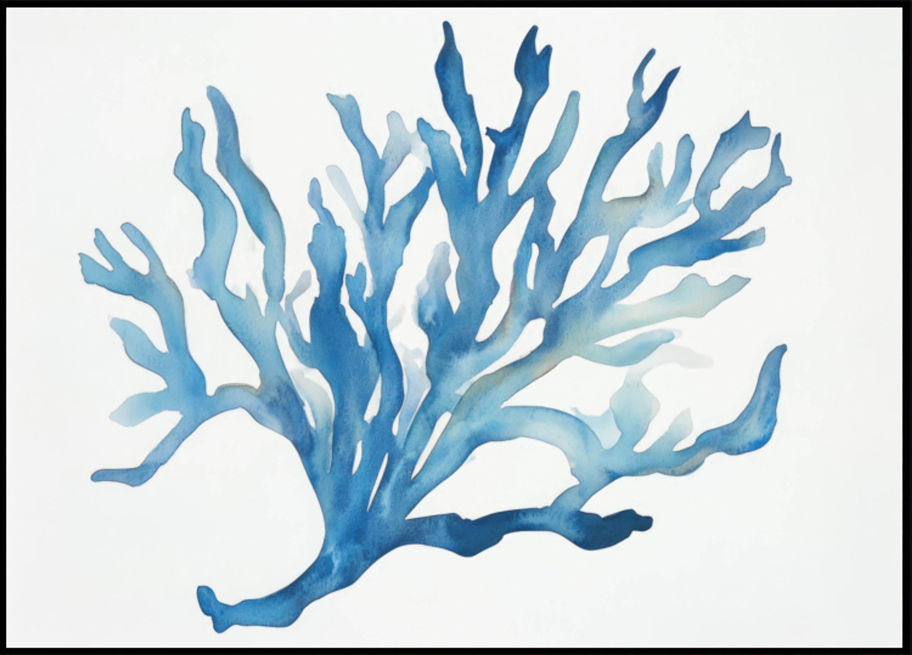 Blue Coral