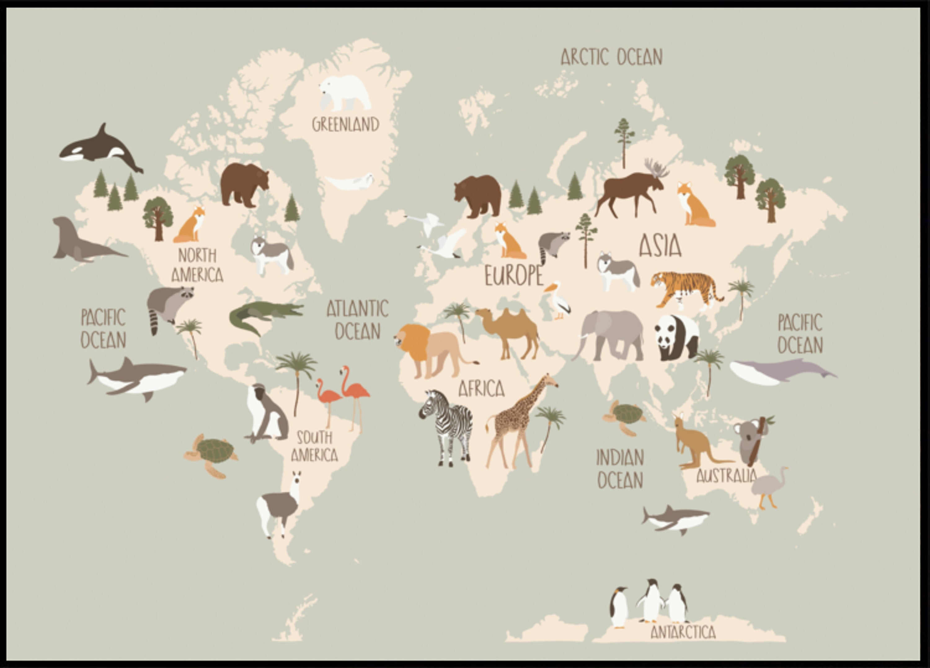 Wildlife World Map
