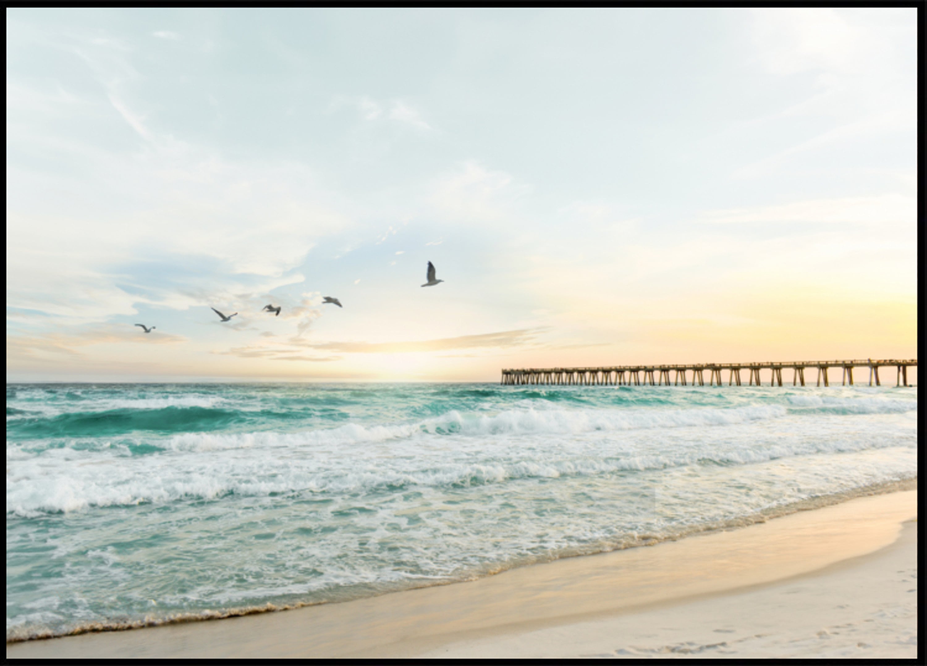 Birds At Pier