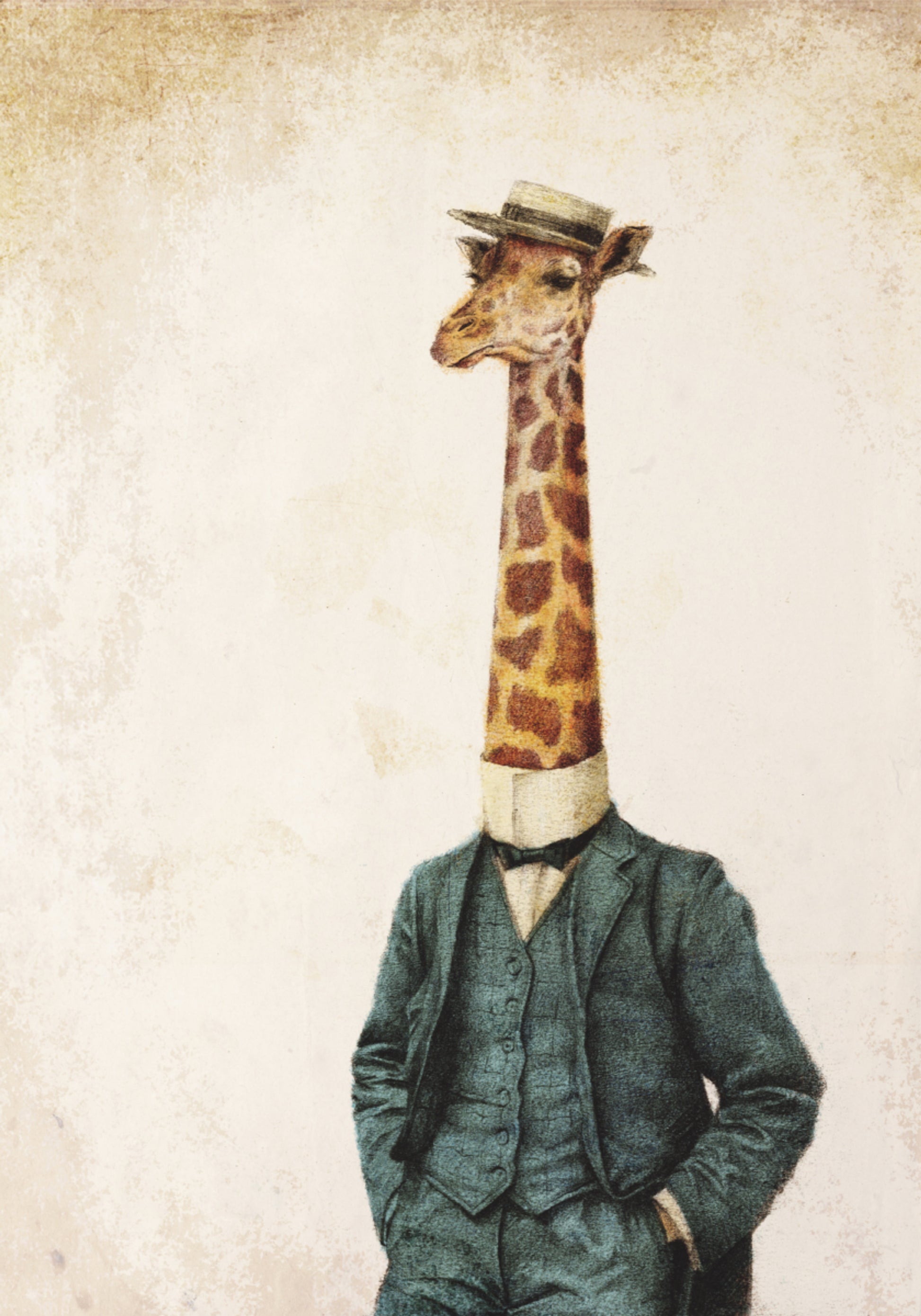 High Class Gentleman
