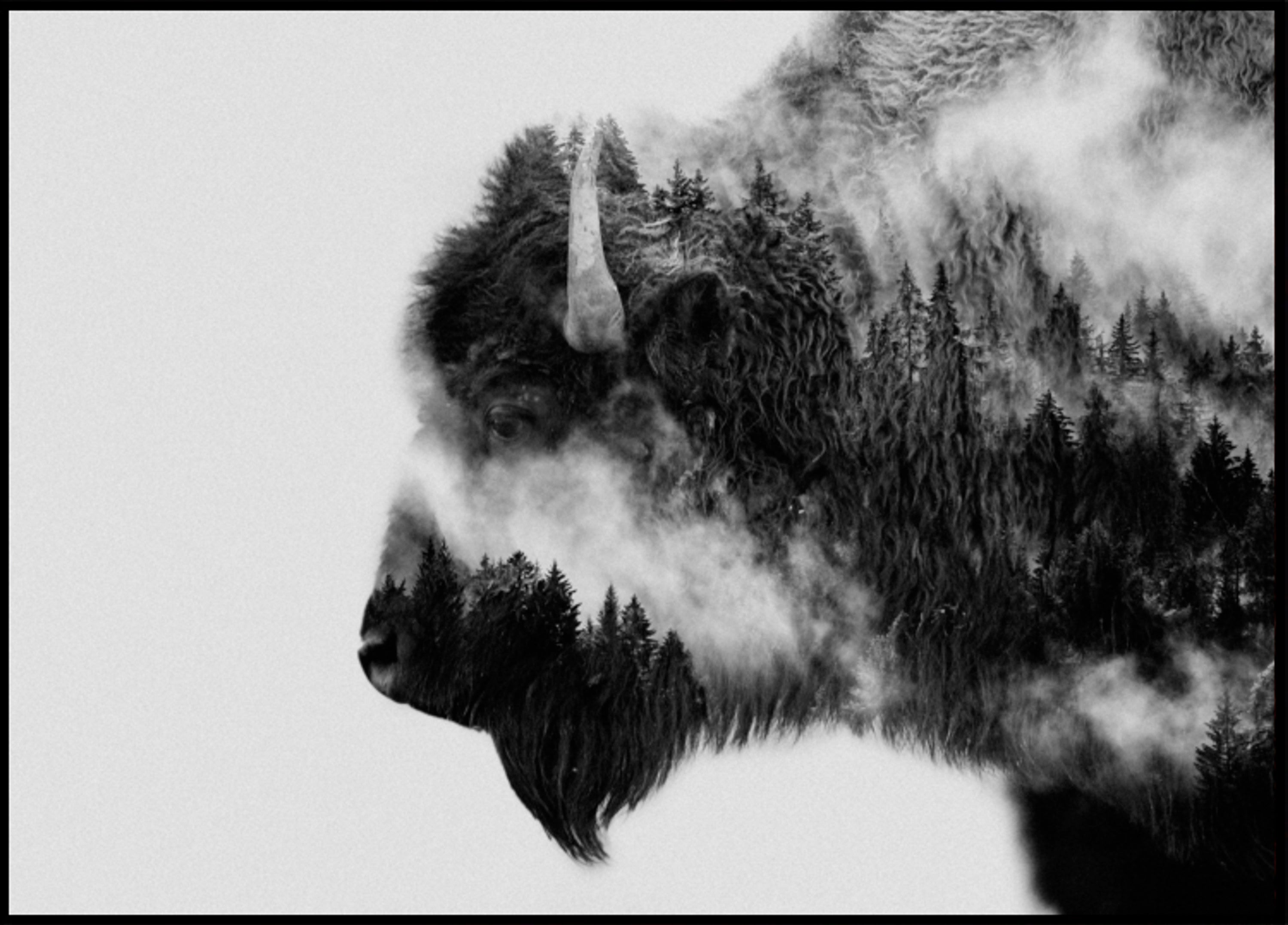 Forest Bison Spirit