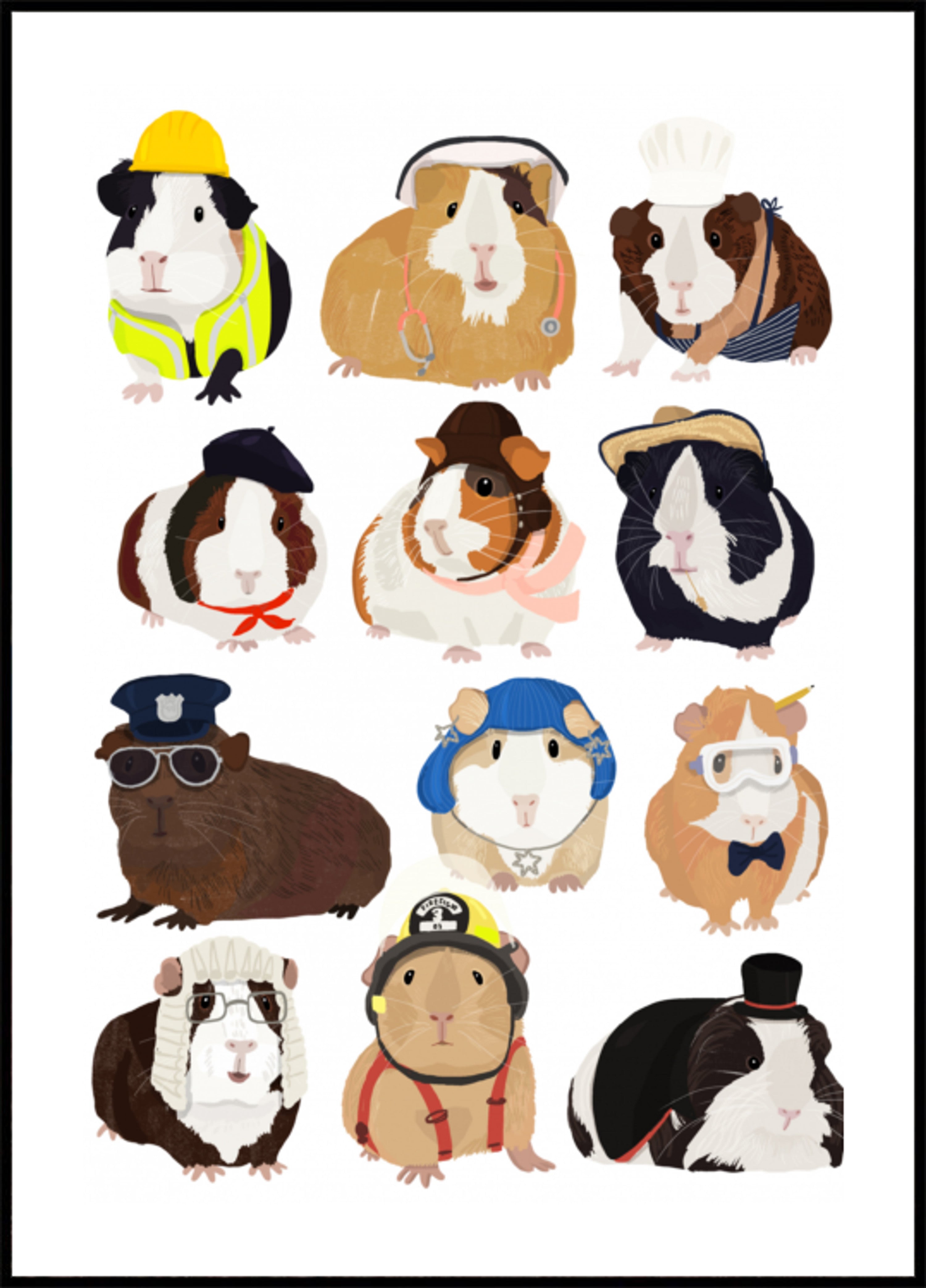 Cute Guinea Pig Careers