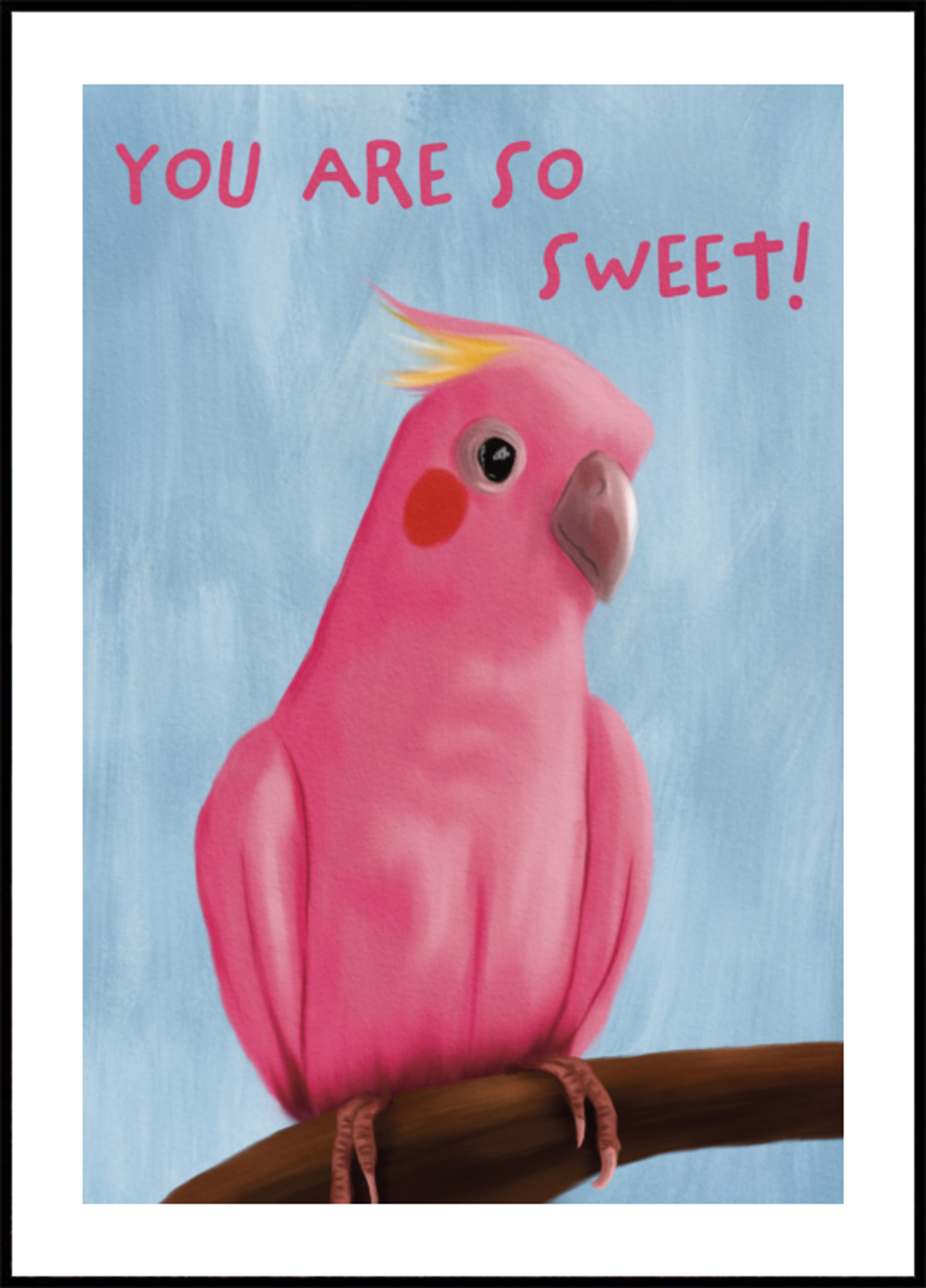 Sweet Pink Galah