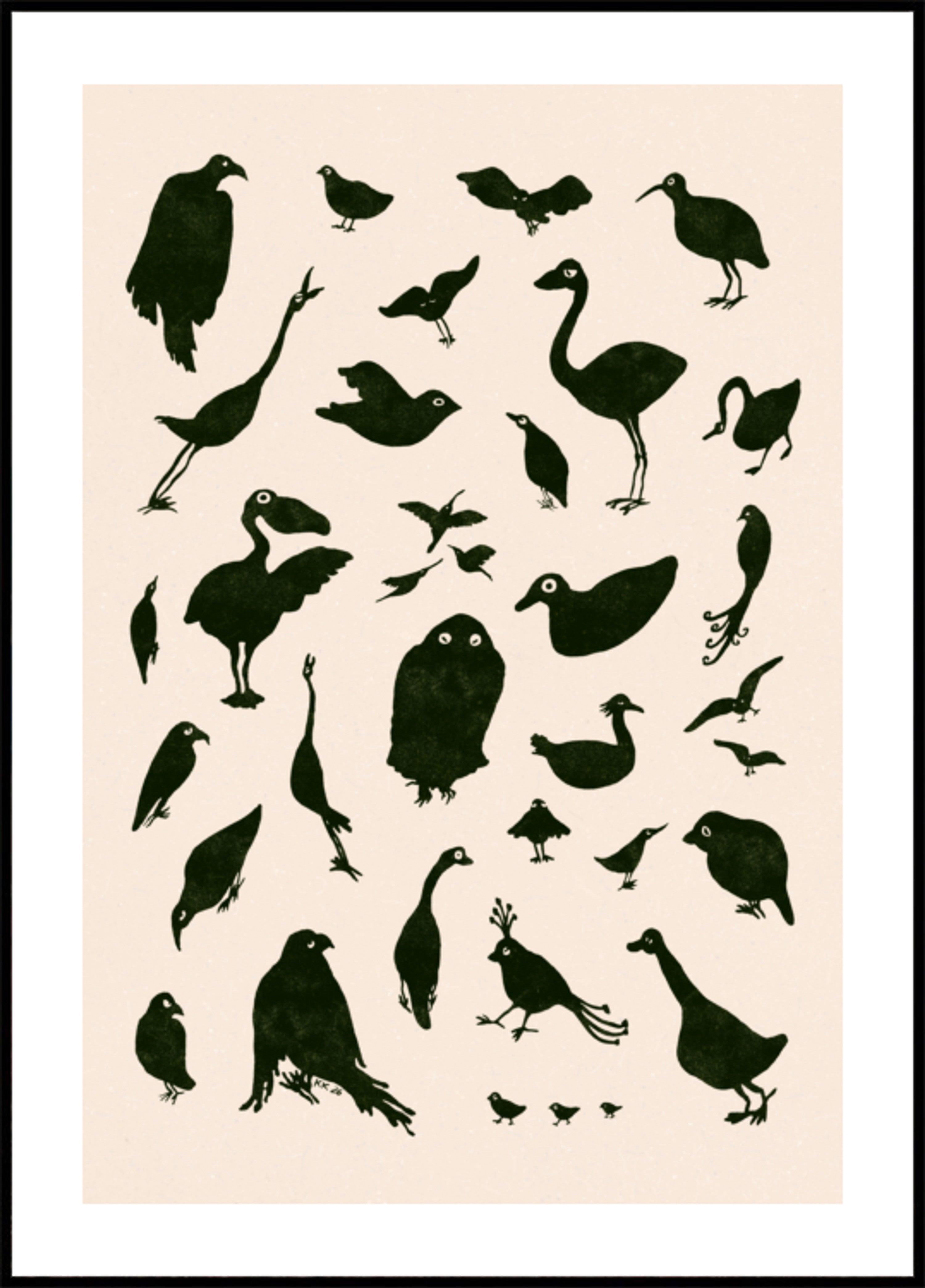 Various Bird Silhouettes
