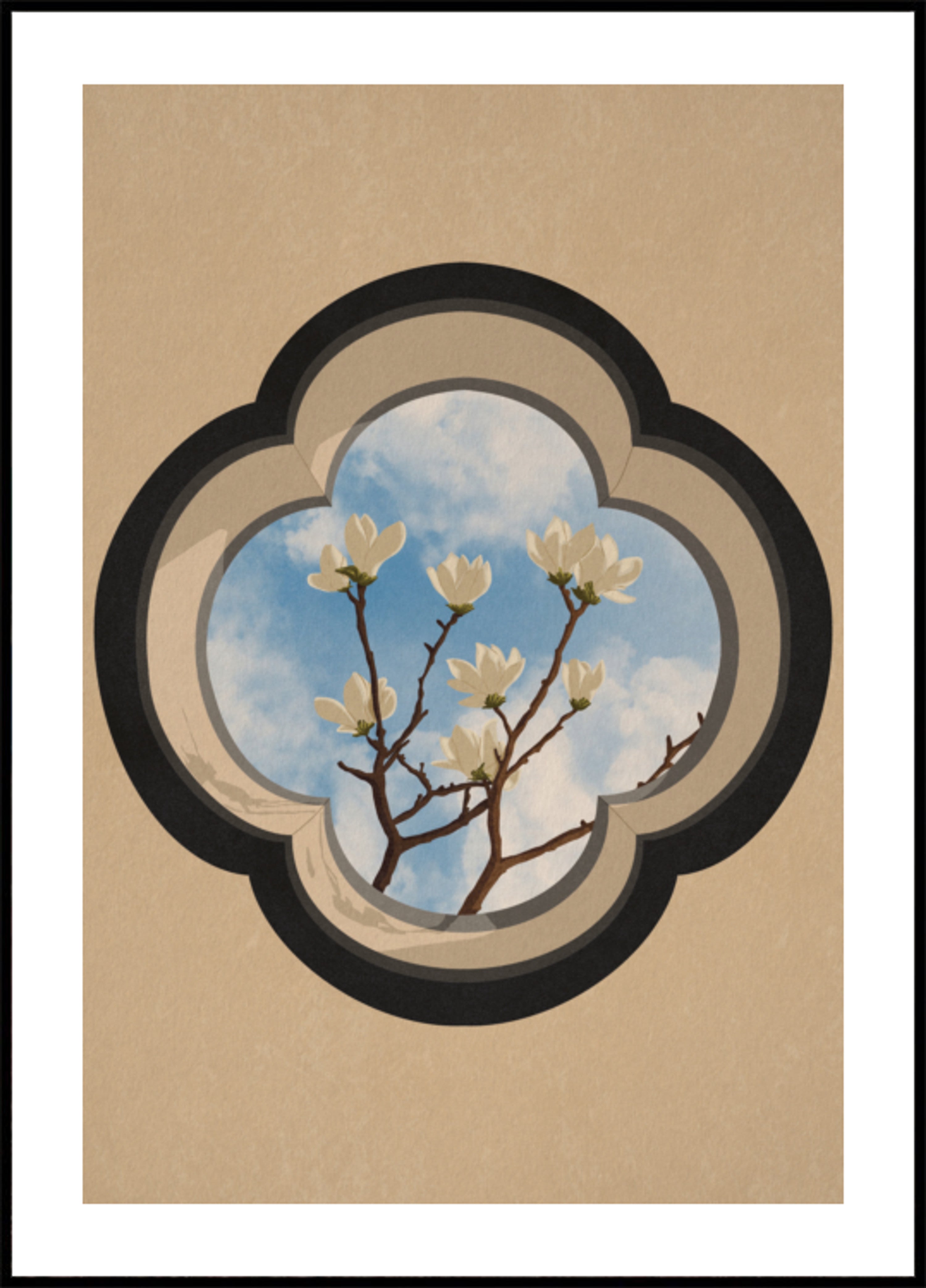 Magnolia Sky Window