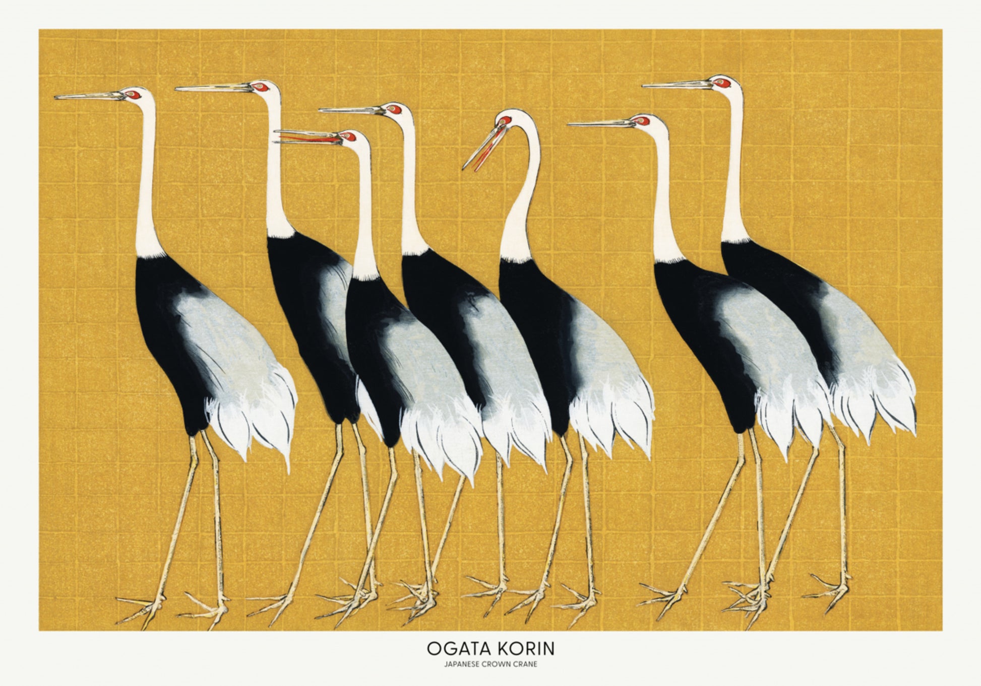 Japanese Red Crowned Crane
