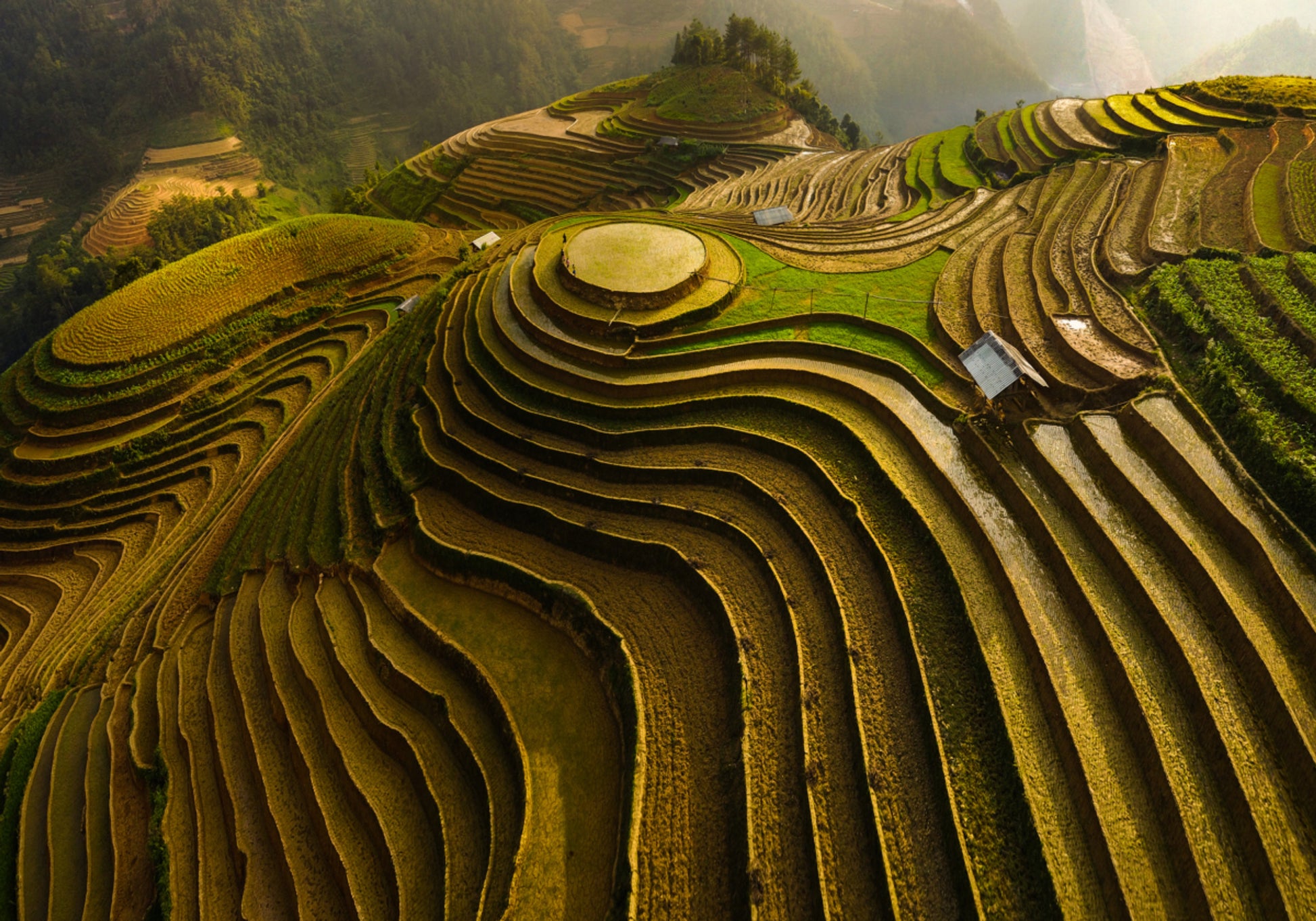 Golden Terraced Mountains