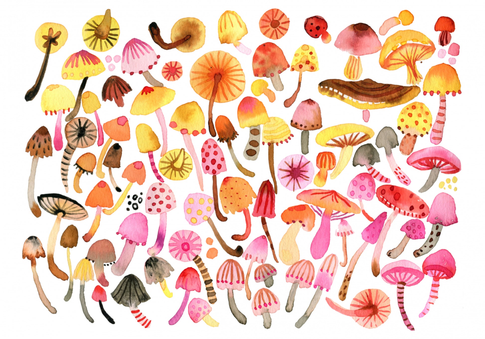 Whimsical Mushroom Collection